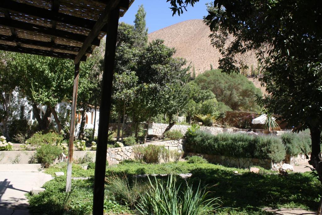 Hotel El Milagro Pisco Elqui Zewnętrze zdjęcie